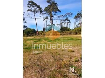 https://www.gallito.com.uy/oportunidad-venta-de-terreno-frente-al-club-de-golf-de-inmuebles-25042738