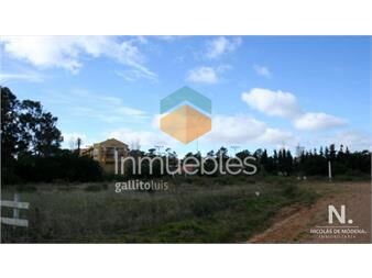 https://www.gallito.com.uy/venta-de-terreno-en-barra-verde-la-barra-inmuebles-25043776