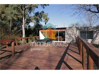 https://www.gallito.com.uy/terreno-1333-m2-en-punta-ballena-inmuebles-22017225