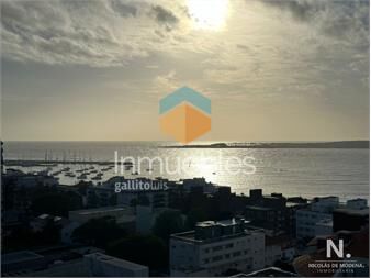 https://www.gallito.com.uy/vende-apartamento-de-3-dormitorios-en-torre-gattas-punta-d-inmuebles-25105801