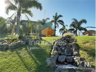 https://www.gallito.com.uy/casa-en-venta-y-alquiler-punta-ballena-inmuebles-25033556