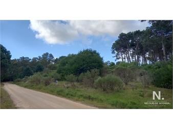 https://web5.gallito.com.uy/trreno-en-venta-en-la-barra-inmuebles-23214229