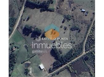 https://www.gallito.com.uy/terrenos-amplios-en-venta-en-la-capuera-inmuebles-25116957