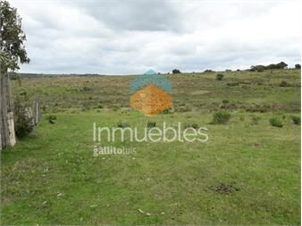 https://www.gallito.com.uy/campo-en-las-cañas-de-59-has-cuenta-con-casa-luz-instru-inmuebles-23748096
