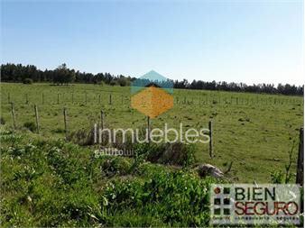 https://www.gallito.com.uy/chacra-de-133-has-en-venta-en-cerrillos-inmuebles-24240703