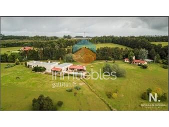 https://www.gallito.com.uy/chacra-en-laguna-del-sauce-6-dormitorios-inmuebles-25034909