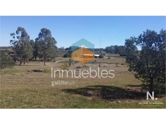 https://www.gallito.com.uy/chacra-sobre-ruta-12-en-venta-inmuebles-24987589