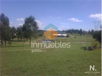 https://www.gallito.com.uy/hermosa-chacra-con-produccion-de-olivos-inmuebles-24745176