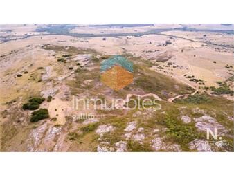 https://www.gallito.com.uy/el-cerro-inmuebles-24987950