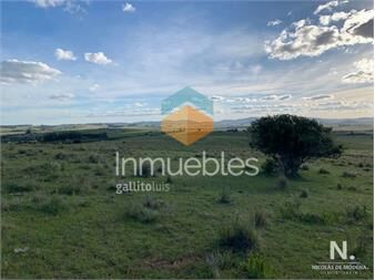 https://www.gallito.com.uy/chacra-el-sueño-oportunidad-imperdible-inmuebles-25041858