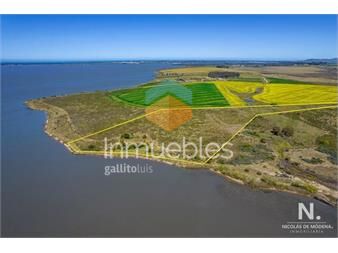 https://www.gallito.com.uy/chacra-con-costa-a-laguna-del-sauce-maldonado-punta-del-inmuebles-24994160