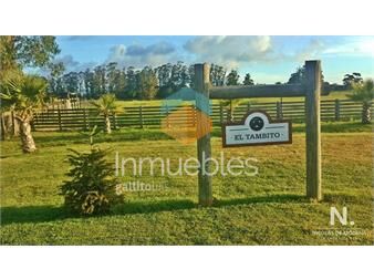 https://www.gallito.com.uy/chacra-en-venta-de-6-hectareas-en-la-pataia-maldonado-inmuebles-24749521