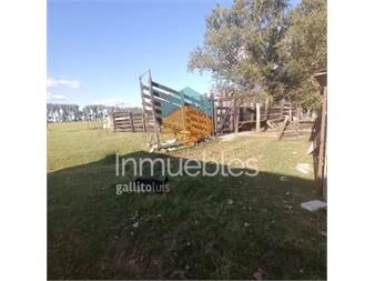 https://www.gallito.com.uy/venta-chacra-los-cerrillos-inmuebles-25337920