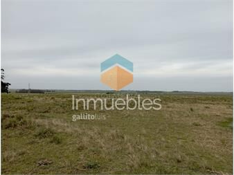 https://www.gallito.com.uy/campo-de-en-garzon-entre-limite-de-maldonado-y-rocha-inmuebles-25273048