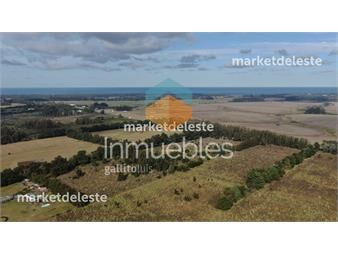 https://www.gallito.com.uy/chacra-6-has-inmuebles-25368155