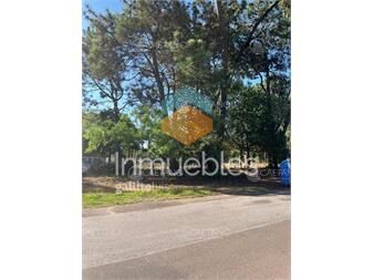 https://www.gallito.com.uy/terreno-en-venta-punta-del-este-inmuebles-25372597