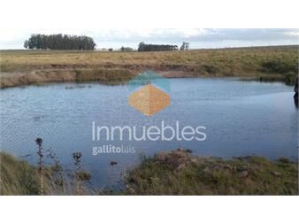 https://www.gallito.com.uy/campo-de-35-has-buen-suelo-con-tajamar-cañada-agua-perman-inmuebles-25405919