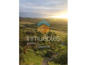 https://www.gallito.com.uy/venta-chacra-de-5-has-al-pie-del-cerro-pan-de-azucar-inmuebles-25433372