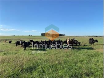 https://www.gallito.com.uy/campo-excelente-ubicaccion-ideal-plantar-o-para-fraccion-inmuebles-22909445