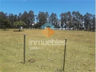 https://www.gallito.com.uy/campo-por-ruta-12-con-muy-buena-casa-inmuebles-22909788