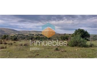 https://www.gallito.com.uy/campo-en-carape-son-42-hs-2293-m2-inmuebles-23920435