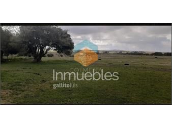 https://www.gallito.com.uy/campo-5-has-con-linda-casa-a-25-km-de-punta-del-este-consul-inmuebles-22909239
