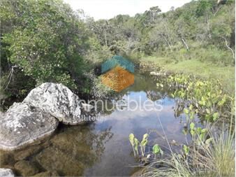 https://www.gallito.com.uy/campo-cerca-de-pueblo-eden-consulte-inmuebles-22908843