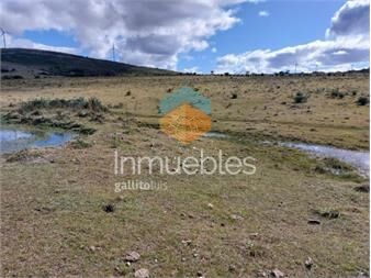https://www.gallito.com.uy/campo-en-partido-norte-inmuebles-22910167