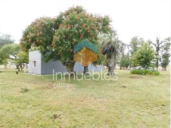 https://www.gallito.com.uy/campo-chacra-en-venta-entrada-de-pueblo-garzon-35-hectare-inmuebles-22909174