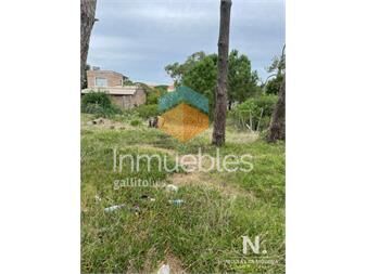 https://web5.gallito.com.uy/terreno-en-montoya-inmuebles-25033239