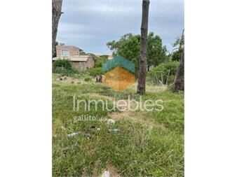 https://www.gallito.com.uy/terreno-en-montoya-inmuebles-22909175