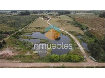https://www.gallito.com.uy/venta-chacra-6-hectareas-pan-de-azucar-maldonado-inmuebles-25470431