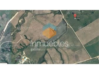 https://www.gallito.com.uy/excelente-campo-de-113-hectareas-ubicado-en-garzon-inmuebles-21673751