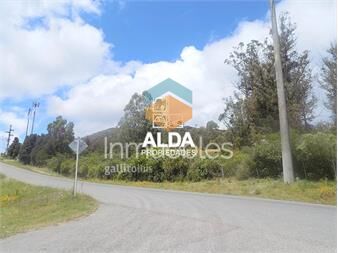 https://www.gallito.com.uy/terreno-en-cerro-del-toro-ref-te100846-inmuebles-20316476