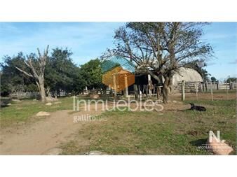 https://www.gallito.com.uy/en-venta-campo-criador-en-montevideo-treinta-y-tres-inmuebles-25494999