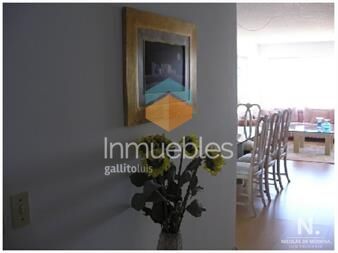 https://www.gallito.com.uy/apartamento-en-primera-linea-inmuebles-24987490