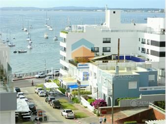 https://www.gallito.com.uy/excelente-apartamento-con-vista-al-puerto-de-punta-del-este-inmuebles-18410332