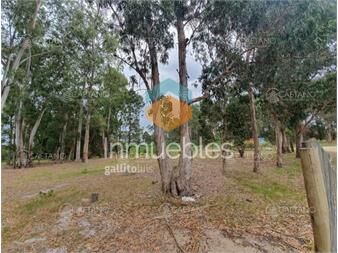 https://www.gallito.com.uy/terreno-en-venta-inmuebles-19316970