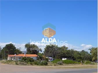 https://www.gallito.com.uy/terreno-en-playa-grande-ref-te100004-inmuebles-20316454