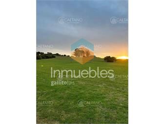 https://www.gallito.com.uy/venta-lote-en-pueblo-mio-manantiales-inmuebles-25587773