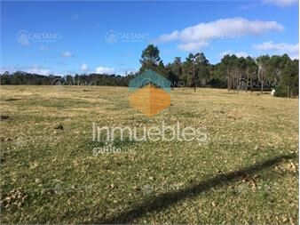 https://www.gallito.com.uy/venta-terreno-rincon-del-indio-inmuebles-23322132