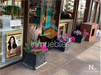 https://www.gallito.com.uy/local-comercial-funcionando-en-peninsula-punta-del-este-inmuebles-25042388
