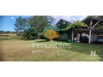 https://www.gallito.com.uy/chacra-en-la-pataia-punta-ballena-inmuebles-24987976