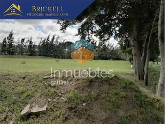https://www.gallito.com.uy/terrenos-venta-manga-inmuebles-25623496