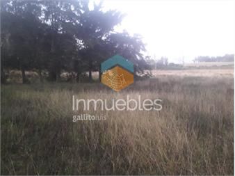 https://www.gallito.com.uy/campo-2-has-con-8408-m2-a-7-km-de-ruta-9-y-17-km-de-punta-b-inmuebles-22910002
