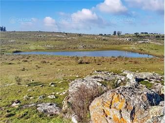 https://www.gallito.com.uy/vendo-chacras-en-ruta-9-entre-ruta-12-y-pan-de-azucar-mal-inmuebles-22959648