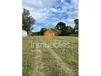 https://www.gallito.com.uy/chacra-de-7-hectareas-proxima-a-lapataia-inmuebles-23536276