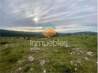 https://www.gallito.com.uy/venta-campo-261-hectareas-ruta-12-maldonado-inmuebles-25743222