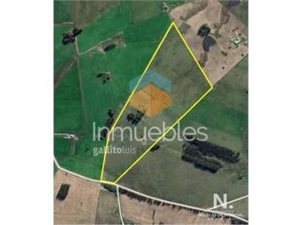 https://www.gallito.com.uy/campo-en-manantiales-inmuebles-25035719