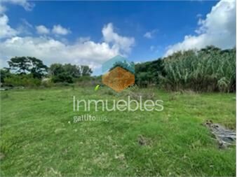 https://www.gallito.com.uy/8000-metros-de-terreno-a-metros-de-luis-batlle-berres-inmuebles-25523253